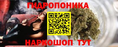 СК Краснознаменск